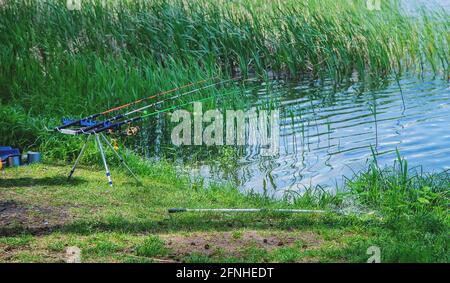 Angeln am See. Selektiver Fokus. Angelruten . Sommer. Stockfoto