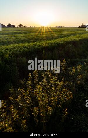 Panoramablick auf den Sonnenuntergang in die Landschaft von Ferrara Stockfoto