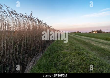 Panoramablick auf den Sonnenuntergang in die Landschaft von Ferrara Stockfoto