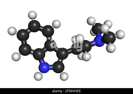 DMT Dimethyltryptamin Psychedelic Drug Molecule 3D rendern chemische Struktur Stockfoto