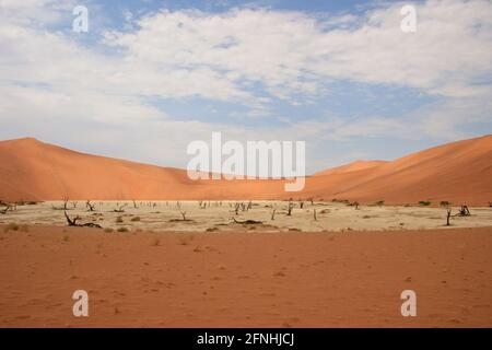 Versteckte Vlei-Landschaft mit toten Bäumen im Namib-Naukluft-Nationalpark in der Wüste, Namibia. Stockfoto