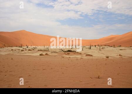 Versteckte Vlei tote Bäume in der Wüstenlandschaft Namib-Naukluft National Park, Namibia. Stockfoto