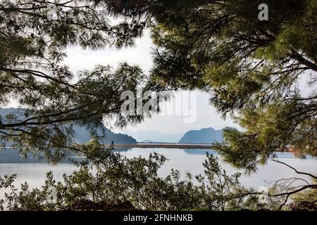 Ein Foto einer Landschaft, die ein wunderschönes Meer durch die Äste eines Baumes fängt. Die realistische Aufnahme dieses Fotos spiegelt seine Ästhetik wider. Stockfoto