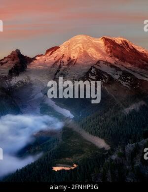 Mt. Rainier bei Sunsie vom Sunrise Point. Mt. Rainier National Park, Washington Stockfoto