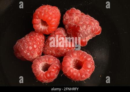 Mehrere rote Bio-Himbeeren auf schwarzem Hintergrund, Nahaufnahme, Draufsicht. Stockfoto