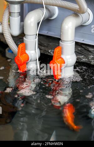 Nahaufnahme der ein- und Auslassventile am Filter Wasserbehälter des Goldfischbehälters Stockfoto