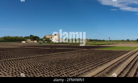 Landwirtschaftsbetrieb am Stadtrand von barcelona in spanien. Stockfoto