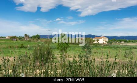 Landwirtschaftsbetrieb am Stadtrand von barcelona in spanien. Stockfoto