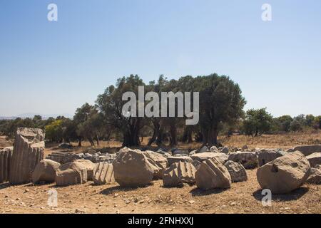 Blick auf historische Ruinen und Olivenbäume in der griechischen Antike Stadt namens Teos an der Küste von Ionia in Sigacik / Seferihisar Bezirk Izmir PR Stockfoto