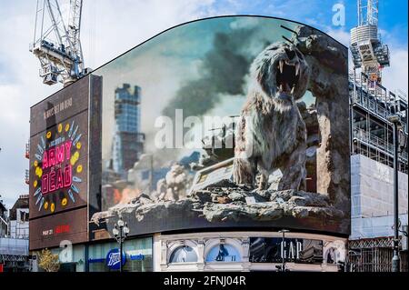 London, Großbritannien. Mai 2021. An dem Tag, an dem Kinos wieder eröffnet werden dürfen, wird ein 3-D-Live-Werbeplakat, Piccadilly Lights, auf dem Zack Snyders (Justice League) kommende Blockbuster-Film ARMY OF THE DEAD gestartet werden. Die Aktivierung nutzt die gesamte gebogene digitale Leinwand im Piccadilly Circus und führt die Londoner in den „Valentine“, den Zombie-Tiger, der im Film zu sehen ist. Der VFX-Tiger, der vom Visual Effects Supervisor Marcus Taormina (Bird Box, Guardians of the Galaxy) im post-apokalyptischen Las Vegas unterwegs ist. Kredit: Guy Bell/Alamy Live Nachrichten Stockfoto