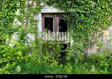 Alte Tür in der Natur, die die Ruine eines verlassenen Steinhauses, Vipava Tal, Slowenien, zurückfordert Stockfoto