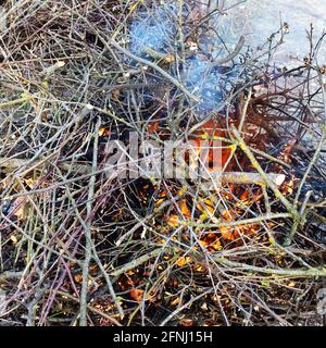 Haufen frisch gesägtes Äste brennen aus der Nähe im Freien Stockfoto