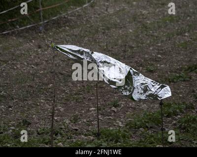 Metallblech-Vogelscheuche auf einem Feld an windigen Tagen Stockfoto