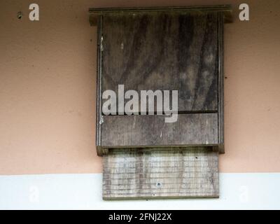 Fledermaus Holzhaus an der Wand Detail Stockfoto