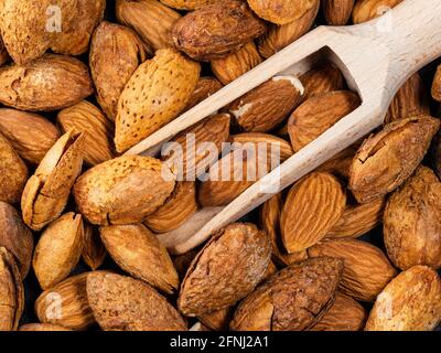 Holzlöffel in Mandelbrocken und Samen aus der Nähe Stockfoto