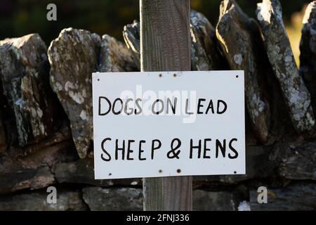 Ein Schild erinnert Wanderer daran, ihre Hunde in Cumbria, England, an der Leine zu halten. Das Ackerland, durch das Menschen gehen, hat Schafe und Hühner. Stockfoto