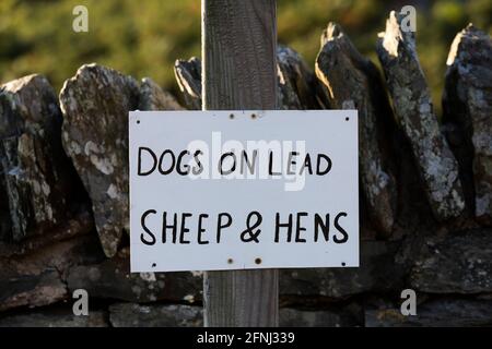 Ein Schild erinnert Wanderer daran, ihre Hunde in Cumbria, England, an der Leine zu halten. Das Ackerland, durch das Menschen gehen, hat Schafe und Hühner. Stockfoto