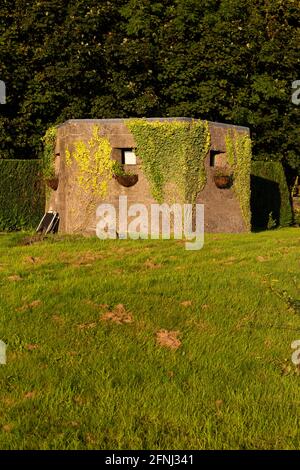 2. Weltkrieg Pillbox in der Nähe von Newton in Cartmel in Cumbria, England. Der Kriegsremanant hat Blumenkörbe und Reben auf seiner Betonfassade. Stockfoto