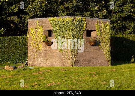 2. Weltkrieg Pillbox in der Nähe von Newton in Cartmel in Cumbria, England. Der Kriegsremanant hat Blumenkörbe und Reben auf seiner Betonfassade. Stockfoto