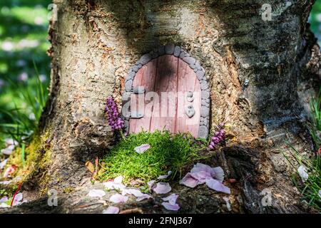 Kleine Märchentür aus Ton in einem Baumstamm mit rosa Blütenblättern. Stockfoto