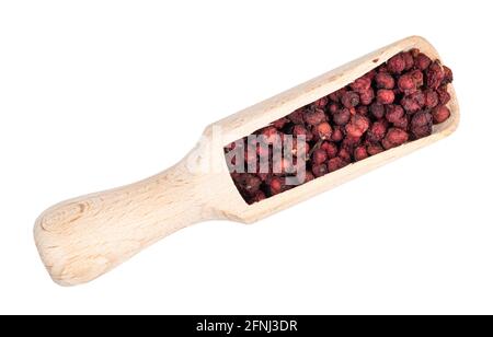 Draufsicht auf getrocknete Magnolienbeeren (Schisandra Chinensis Samen) In Holz Schaufel Ausschnitt auf weißem Hintergrund Stockfoto