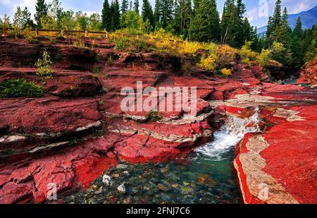 Red Rock Canyon, Waterton Lakes National Park, Alberta, Kanada; die Schichten aus roten und grünen Mineralien bieten einen brillanten Kontrast zueinander Stockfoto