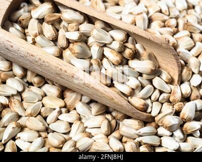 Holzlöffel auf Haufen Safflower Samen Nahaufnahme Stockfoto
