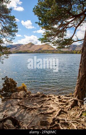 Blick über Derwent Wasser von Friar's Klippe Stockfoto