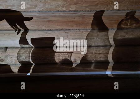 Schatten an der Wand mit weiblicher Hand und Utensilien Stockfoto