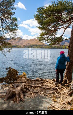 Blick über Derwent Water Stockfoto