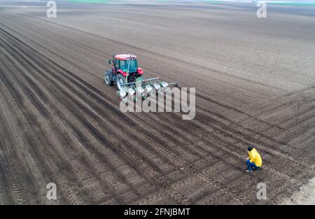 Luftbild des Landwirts, der den Traktor kontrolliert, der den Boden aussaat Drohne Stockfoto