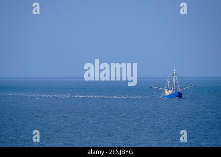 Ameland, Niederlande-April,19,2021: Fischerboot, Netze und Möwen auf dem Wattenmeer. Der Fischer-Konflikt eskaliert: Britische, französische und niederländische streiten sich Stockfoto