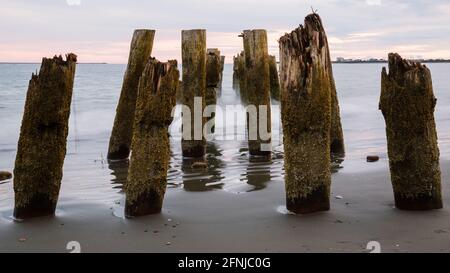 Nahaufnahme der alten Pier-Pfeiler mit Struktur am Ocean Beach Stockfoto