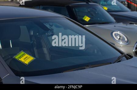 Reihe von Autos mit jeweils EINEM gelben Parkschein, an der Windschutzscheibe festgeklebt, Windshield UK Stockfoto