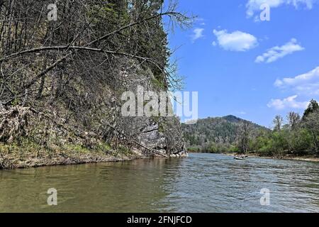 Felsen am Ufer des Zilim. Frühling im Naturpark Zilim, Republik Baschkortostan, Russland. Stockfoto