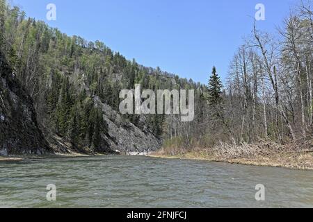 Felsen am Ufer des Zilim. Frühling im Naturpark Zilim, Republik Baschkortostan, Russland. Stockfoto