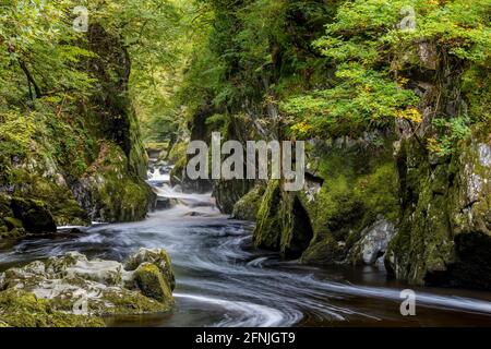 Fairy Glen Gorge - River Conwy, in der Nähe von Betws-y-Coed, Snowdonia National Park, Conwy County, Wales, VEREINIGTES KÖNIGREICH Stockfoto