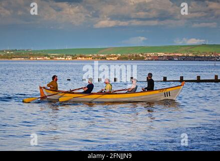 Portobello, Edinburgh, Schottland. VEREINIGTES KÖNIGREICH. Mai 2021. Mit den Covid-19-Beschränkungen in Schottland können die Mitglieder des Edinburgh Amateur Coastal Rowing Club zum ersten Mal seit dem letzten August auf dem Firth of Forth austreten. Quelle: Arch White/Alamy Live News Stockfoto