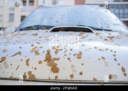 Geländefahrzeug voll mit trockenem Schlamm auf der Motorhaube. Selektiver Fokus Stockfoto