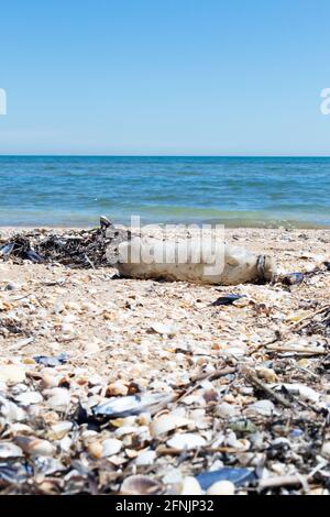 Leere Plastikflasche am Meer. Konzept der Umweltverschmutzung. Schmutziges Meer. Ökologisches Problem. Stockfoto