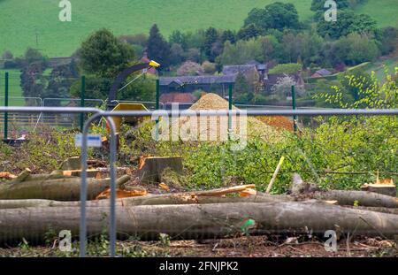 Aylesbury Valle, Buckinghamshire, Großbritannien. Mai 2021. HS2 hat einen großen Teil des alten Waldgebietes von Jones Hill Wood zerstört. Anwohner und Umweltschützer sind wütend, dass Natural England HS2 eine Lizenz zum Fällen von Bäumen während der Vogelnistsaison erteilt hat. Seltene Barbaren Fledermäuse brüten auch in den Wäldern und ihr Lebensraum wurde zerstört. Die umstrittene High Speed 2-Bahnverbindung von London nach Birmingham zeigt eine hässliche Narbe über die Chilterns, eine AONB. Quelle: Maureen McLean/Alamy Stockfoto