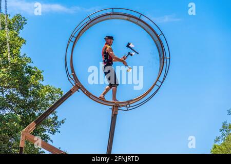 Der Wheel Walker jongliert auf dem Wheel of Death beim Bay Area Renaissance Festival - Withlacoochee River Park, Dade City, Florida, USA, mit flammenden Äxten Stockfoto