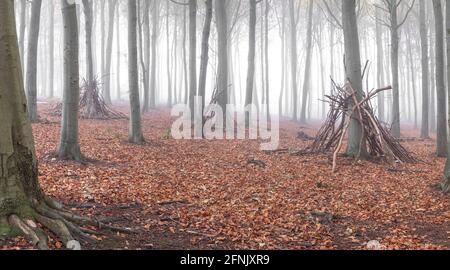 Nebliges Holz mit einigen Höhlen, die aus Ästen gebaut wurden. Stockfoto