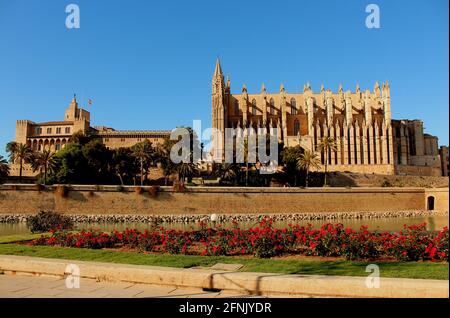 Kathedrale von Palma Stockfoto
