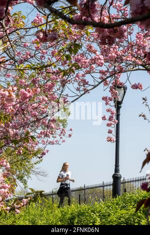 Stephanie und Fred Shuman laufen auf einem sonnigen Frühlingstag, NYC, USA Stockfoto