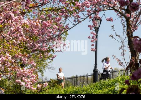 Stephanie und Fred Shuman laufen auf einem sonnigen Frühlingstag, NYC, USA Stockfoto