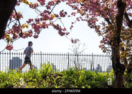 Stephanie und Fred Shuman laufen auf einem sonnigen Frühlingstag, NYC, USA Stockfoto