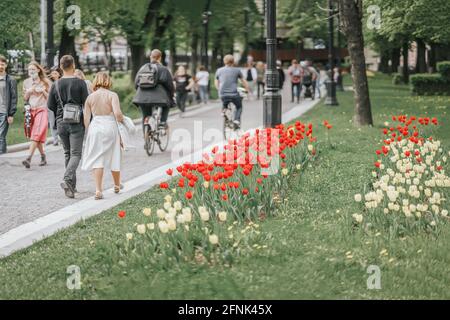 Walking glückliche Menschen, Familien, Stadtboulevard mit bunten Tulpen an sonnigen Tagen. Verschwommenes abstraktes Bild für den natürlichen Frühlingshintergrund Stockfoto