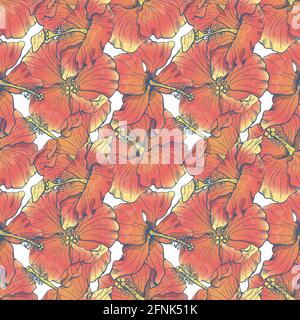 Nahtloses Muster mit roten Hibiskusblüten, Knospen und Blättern, mit dunkler Kontur Stock Vektor