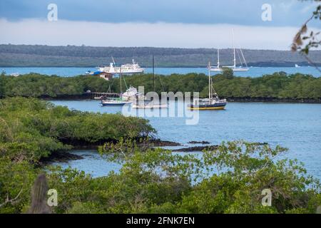 Blick auf den Hafen von Santa Cruz vom Las GrietasÂ´ aus Stockfoto